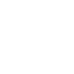 transparent palm tree graphic